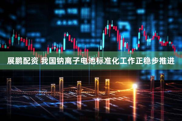 展鹏配资 我国钠离子电池标准化工作正稳步推进