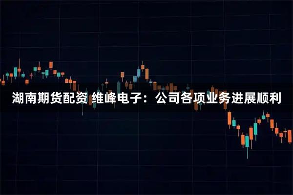 湖南期货配资 维峰电子：公司各项业务进展顺利
