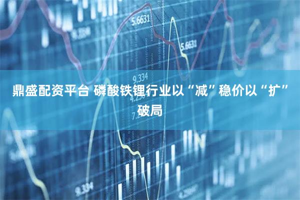 鼎盛配资平台 磷酸铁锂行业以“减”稳价以“扩”破局