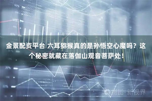 金景配资平台 六耳猕猴真的是孙悟空心魔吗？这个秘密就藏在落伽山观音菩萨处！