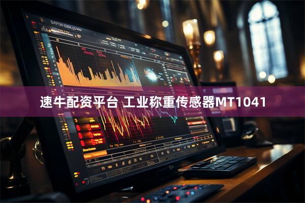 速牛配资平台 工业称重传感器MT1041